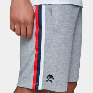CAYLER & SONS Herren Shorts WL Taped In Grau 6