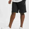 Dickies Herren Shorts Funkley In Schwarz 10