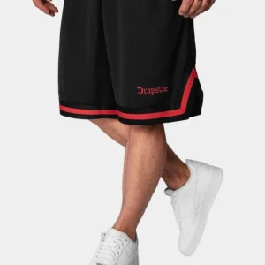 Dropsize Herren Shorts Logo Mesh In Schwarz 6