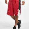 Southpole Herren Shorts Basketball Mesh In Rot 8